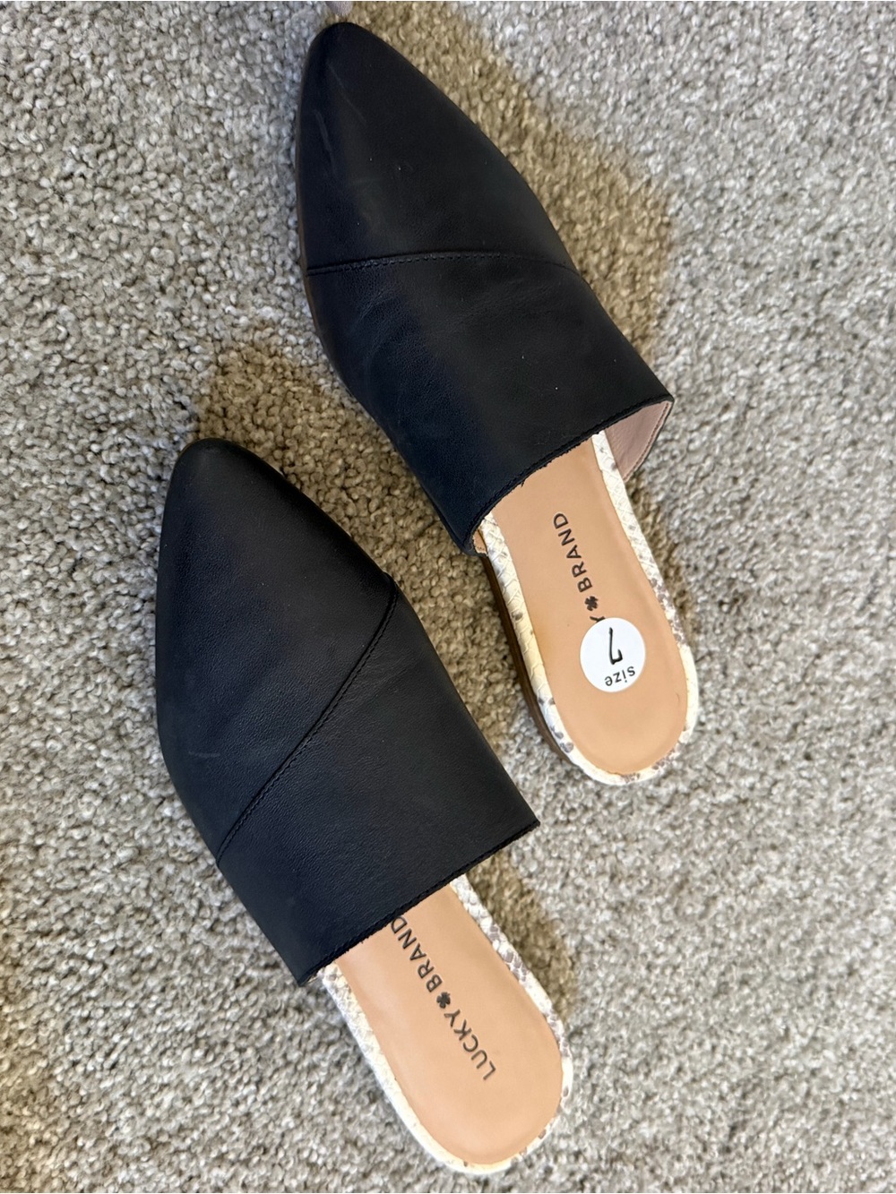 Black Women's Leather Pointed Slip-On Mules
